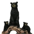 thumbnail image 6 of Rustic Forest Standing Black Bear and 2 Cubs On Faux Wooden Log Bridge Figurine, 6 of 9