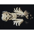 thumbnail image 7 of DC Comic Book Joker Villain Character  Black Graphic Tee Shirt-3XLB, 7 of 7
