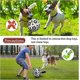 thumbnail image 2 of Balón de fútbol interactivo del juguete del perro con las etiquetas durables del perro del gancho agarrador para las razas medianas pequeñas, 2 of 5