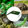 thumbnail image 2 of Turtle Plateforme de Baignade Tortue Rampe Réservoir Échelle Terrasse Simulation Pelouse, 2 of 6