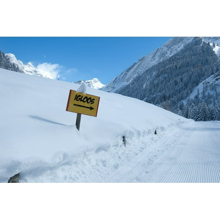 - Laminated Poster Snow White Nature Igloo Blue Refuge Winter Cold Poster Print 24 x 36