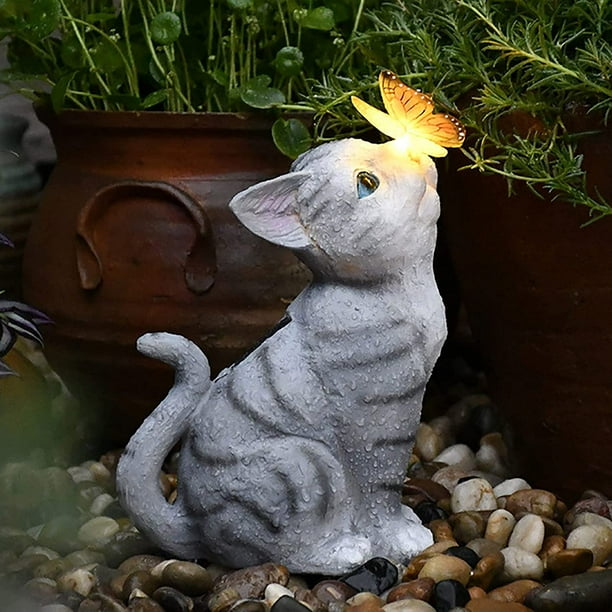 Kitten butterfly cheap