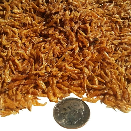 Freeze Fresh Shrimp - Aquatic Foods Freeze Dried Red Shrimp 1/8
