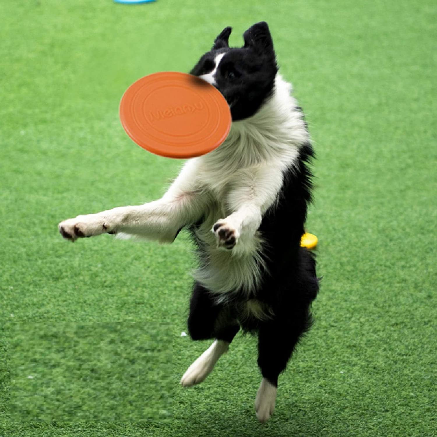 Pet Frisbee Seven Colors Floating Water Resistance Suitable for Small and Mediumsized Dogs Interactive Training Flying Drive 