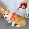 thumbnail image 6 of 1 Set Multi-sizes Hand Holding Dog Leads Pet Collar for Walking Dog Soft Pet Supplies Dog Harnesses Dog Rope Dog Chain BLUE XXL, 6 of 8