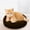 Coffee One Size, variant on Dog Bed Cat Matters for Small Dogs Round Comfortable Sleeping Bed 11.81 Inch With Raised Rim Soft Filling Water Resistant Bottom