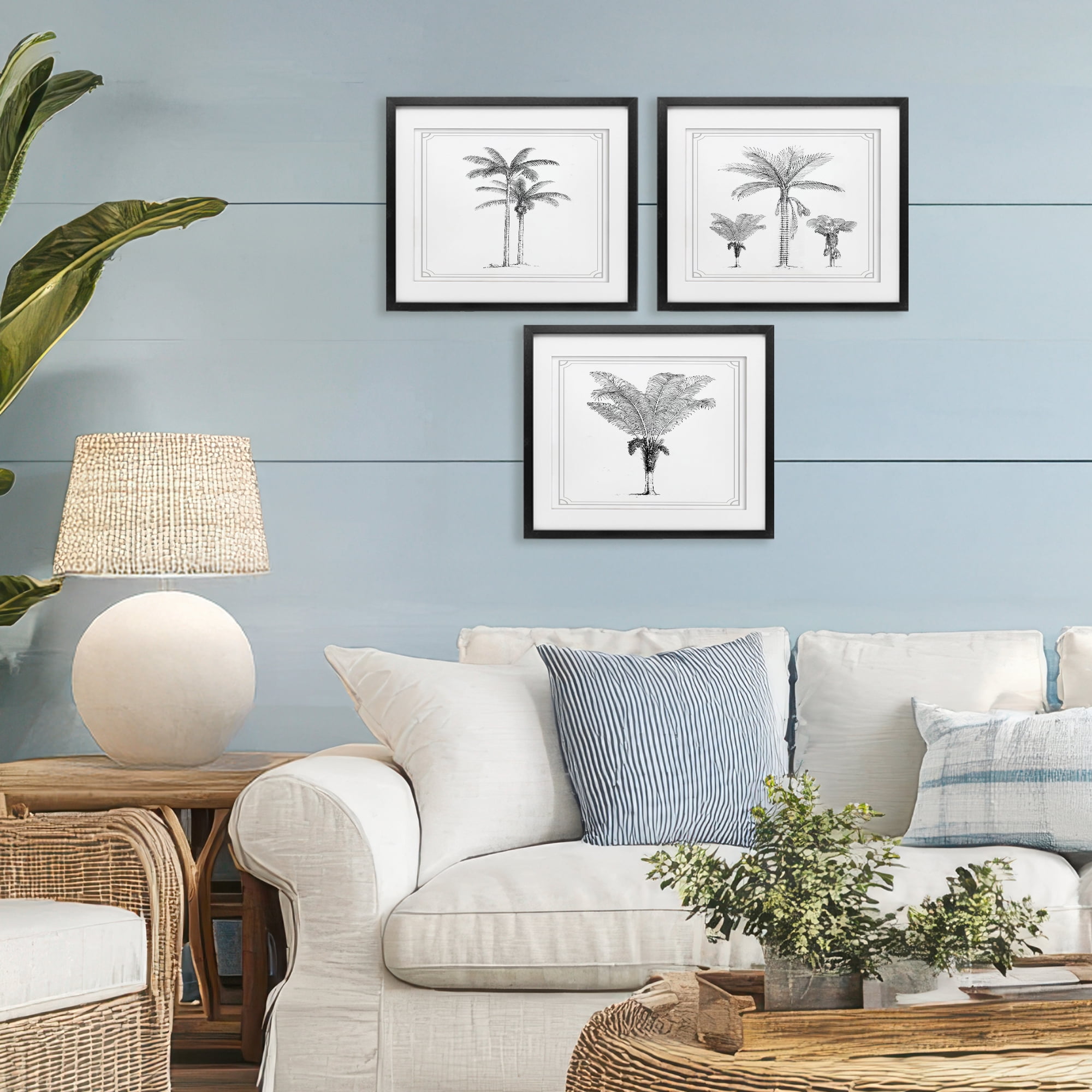 Minimal Vintage Palm Tree Sketches 3 Piece Black Framed Print Under Glass Set, design by Lettered and Lined