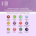 thumbnail image 3 of Coco Fiji Soap Bar for Face and Body Infused With Organic Coconut Oil, Lavender Essential Oil, Natural Soap for Moisturizing & Pore Purifying Skin, 7 oz, Pack Of 2, 3 of 10