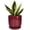 Red, variant on Ordivic 5 inch White Round Ceramic Plant Pot with Drainage Hole & Saucer, Minimalist Small Succulent Planter for Indoor Home Office Desk Decor