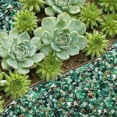 thumbnail image 4 of Decorative Rocks Vase Fillers,0.55lbs Polished Landscaping Pebbles for Outdoor Garden,Decorative Ornamental Pebbles, Garden Landscaping Stones for Home Decoration Fish Tank Plants Vases Succulents, 4 of 7