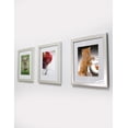 thumbnail image 3 of Set 3 marcos color plata brillante Dii Frame Trilogía plateada, 3 of 4