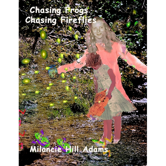 Wanderer Weaver: Chasing Frogs Chasing Fireflies (Series #1) (Paperback)