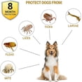thumbnail image 2 of Collar antipulgas para perros Paquete de 2 collares naturales contra pulgas y garrapatas para perros Prevención de 8 meses Collares para cachorros Collares grandes ajustables de 24 pulgadas, 2 of 5