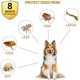 thumbnail image 2 of Collar antipulgas para perros Paquete de 2 collares naturales contra pulgas y garrapatas para perros Prevención de 8 meses Collares para cachorros Collares grandes ajustables de 24 pulgadas, 2 of 5
