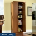 thumbnail image 4 of Sauder Homeplus Storage Cabinet, Sienna Oak Finish, 4 of 13
