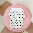 thumbnail image 2 of Adorable Pet Clothes for Cats & Small Dogs - Charming Spring & Autumn Wear, 2 of 4