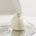 thumbnail image 4 of Clearance Under $3.94! 1Pc Small Round Ceramic Vase for Dried Flowers Hydroponics Home Decor (Beige 7cm), 4 of 8