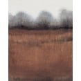 thumbnail image 2 of OToole, Tim 20x24 White Modern Wood Framed Museum Art Print Titled - Frosty Weather II, 2 of 4