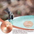 thumbnail image 4 of 4 Pcs Copper Disc for Bird Bath 0.6mm Thick Reinforced 99.99% Pure Copper Bird Bath Purification Disk with 4 Point Support for Birdbath Cleaner, 4 Inch in Diameter, 4 of 5