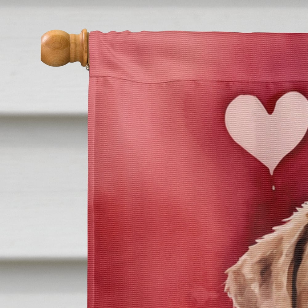 Chesapeake Bay Retriever My Valentine House Flag 28 in x 40 in