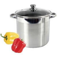McSunley 8 Qt. Stainless Steel Stockpot 613