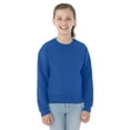 thumbnail image 1 of Jerzees Chandail en Molleton à Col Rond pour Jeunes NuBlend, TG, Royal, 1 of 1