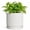 White, variant on Wliror 4 Inch Retro Blue Ceramic Planter Pot with Drainage Hole & Saucer, Decorative Indoor Flower Pot for Succulent Cactus Herb Desk Windowsill Decor