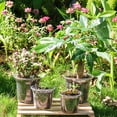 thumbnail image 4 of 36 Packs 5/4/3.5 Inch Reinforced Clear Nursery Pots with Drainage Hole, Transparent Variety Pack Plastic Plant Pot Seedling Planter Seed Starter Flower 20pcs Labels, 4 of 8