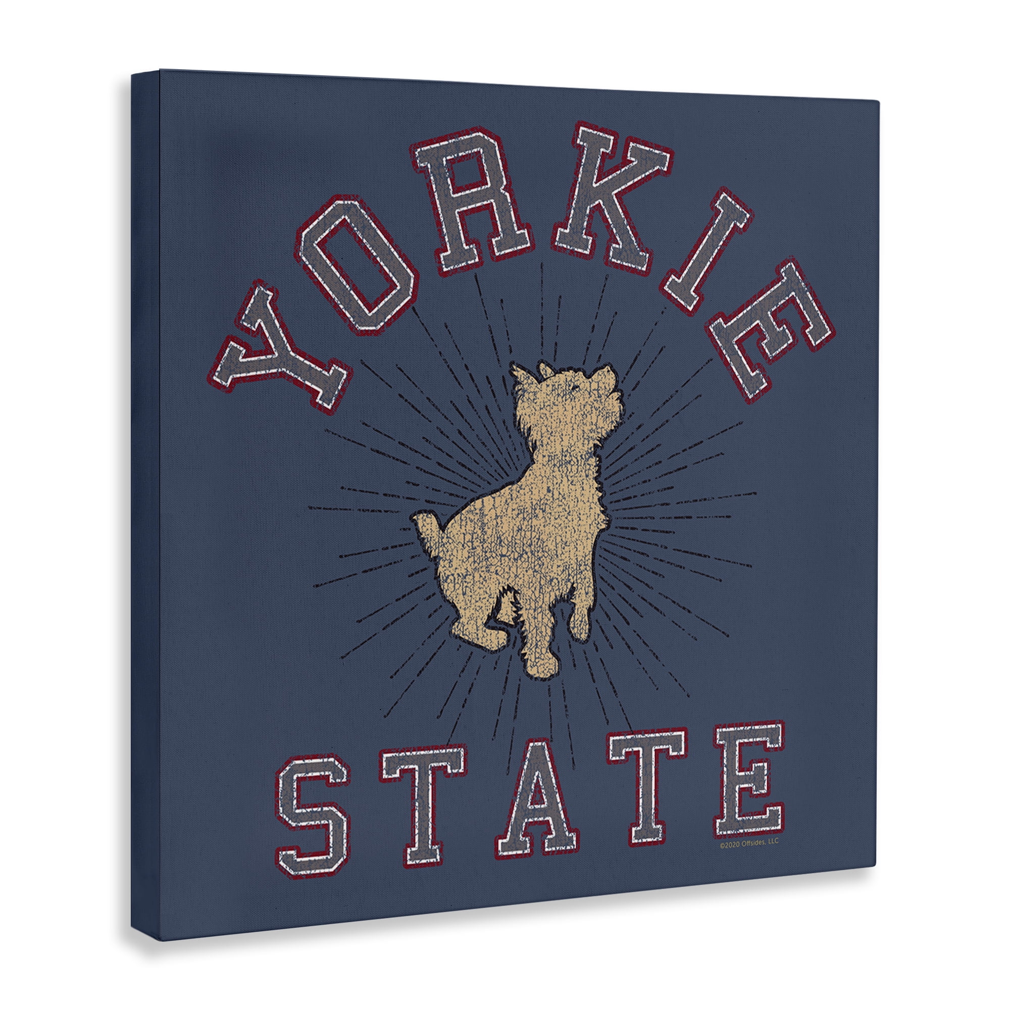 Stupell Industries Varsity Yorkie State Novelty & Humor Painting Wrapped Canvas Art Print Wall Art, 36 x 36