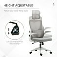 thumbnail image 4 of Vinsetto Mesh Office Chair with Adjustable Headrest, Lumbar Support, Arm, 4 of 10