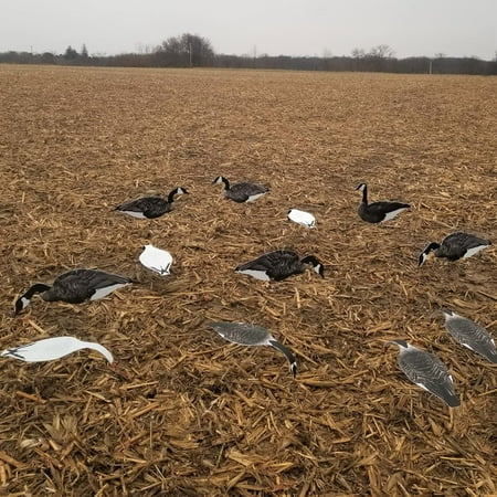 Combo Pack - Canada Goose/Snow Goose Decoy - 6 Vertical Goose Decoys and 6 Reversible Horizontal Goose Decoys