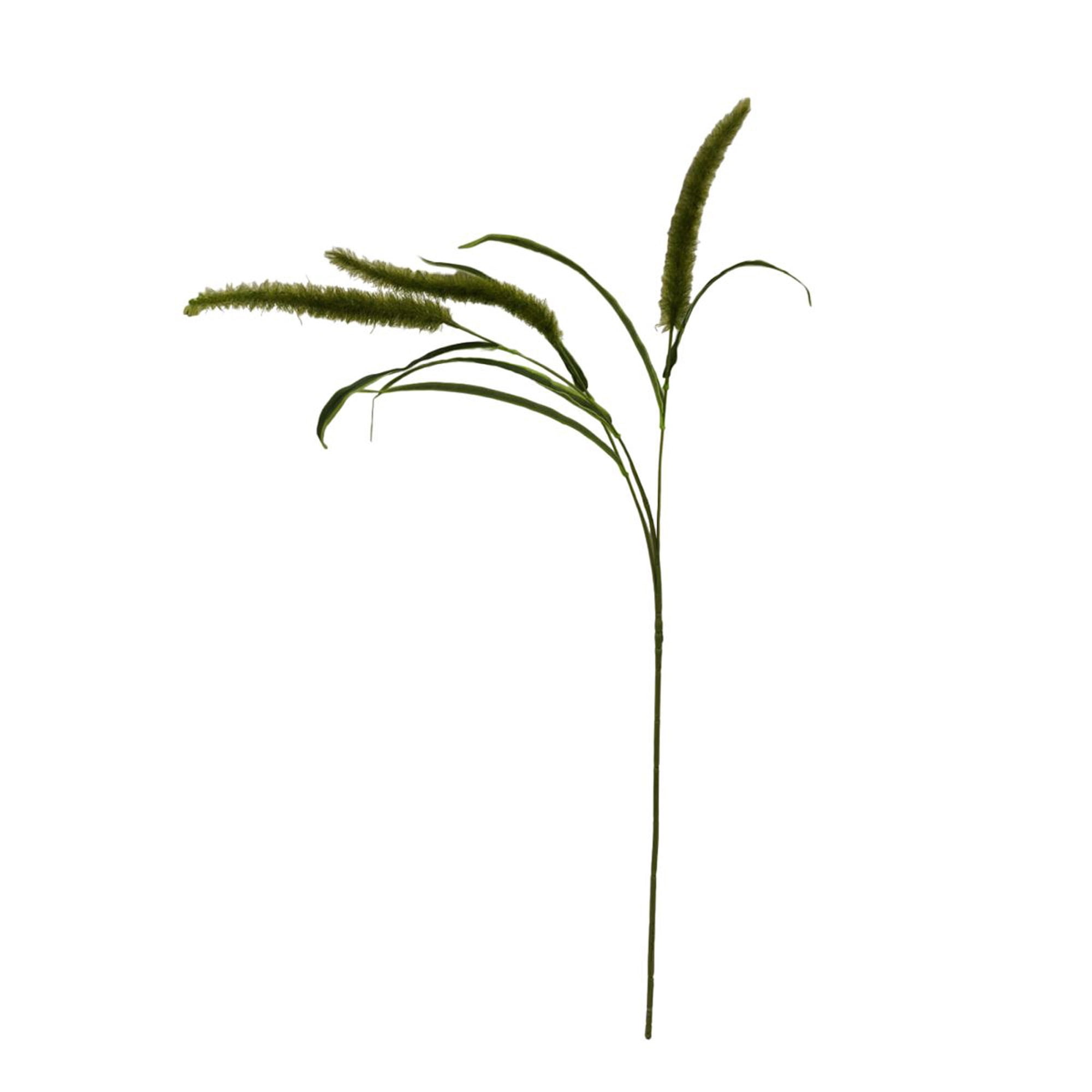 Mainstays 36" Artificial Green Dogtail Stem, Set of 12, Indoor Use