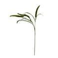 thumbnail image 5 of (3 pack) Mainstays 36" Artificial Green Dogtail Stem, Set of 12, Indoor Use, 5 of 9
