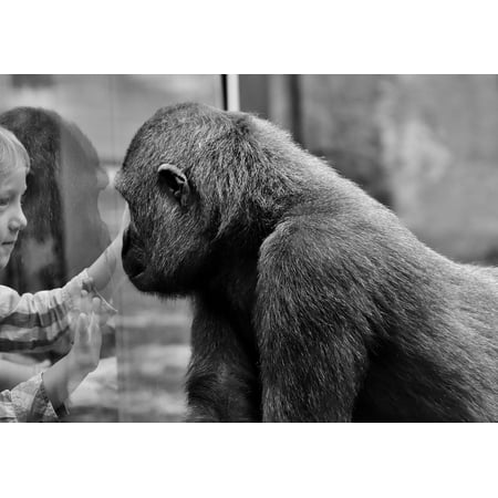 Back Pain Poster - Laminated Poster Gorilla Sad Child Farewell Separation Pain Animal Poster Print 11 x 17