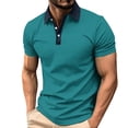 thumbnail image 2 of DayScoop Plus Size T-Shirt for Men Solid Color T Shirt Summer Short Sleeve Casual Fashion Buttons Striped Dry Sporty Breathable Turndown Collar Tops, 2 of 5