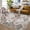 Ash powder, variant on Anoncndin Floral Living Room Rug 8x10 Washable Rug Trellis Rugs for Bedroom Non Slip Low Pile Indoor Carpet Soft Non-Shedding Foldable Thin Mat Traditional Indoor Mat for Bedroom,Dining Room