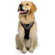 thumbnail image 1 of Arnés para perro sin tirones, arneses para mascotas con collar de perro, chaleco Oxford reflectante ajustable para exteriores, clips de correa delantera/trasera para perros pequeños, mediano, 1 of 5