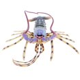 thumbnail image 1 of Juguete educativo Científico Sunnimix Modelo Coral Lobster de 15 pulgadas Decoración Coleccionable, 1 of 8