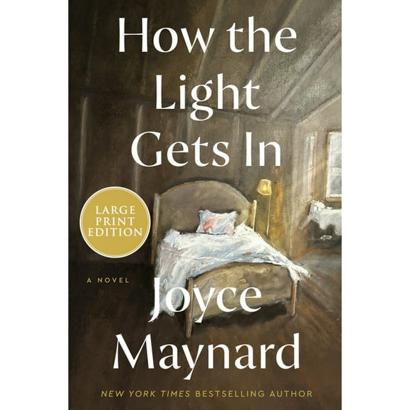 How the Light Gets in, (Paperback)