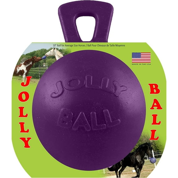Horsemen's Pride Tug N Toss Jolly Ball Extra Large Purple Toy for Dogs Horses