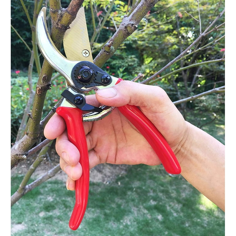 Premium garden shears, meperez pruning scissors gardening tools, pruners  for flower, bushes, rose and fruit tree, use for florist, yard and orchard