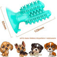 thumbnail image 2 of Juguete indestructible para mascotas Cactus, 2 of 9