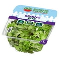 thumbnail image 3 of Backyard Farms Spring Mix Pre-Washed Lettuce, 4 oz Resealable Package, Fresh, 3 of 4