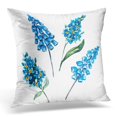 thumbnail image 1 of BSDHOME Green Floral Watercolor Botanical Flower Forget Me and Blue Muscari Object Spring White Abstract Pillow Case Pillow Cover 18x18 inch, 1 of 1
