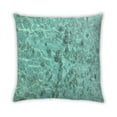 thumbnail image 2 of Ahgly Company Animals Fish Outdoor Throw Pillow, 18 inch by 18 inch, 2 of 6
