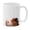 Black White Brown Guinea Pig, variant on Cute Animal Ceramic Coffee Mug Tea Cup, 11 OZ