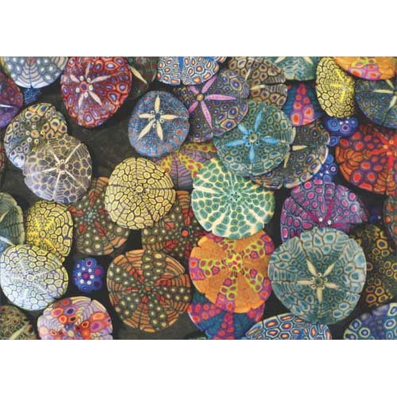 Avanti Press Colorful Sand Dollars Deluxe Matte Blank Note Card
