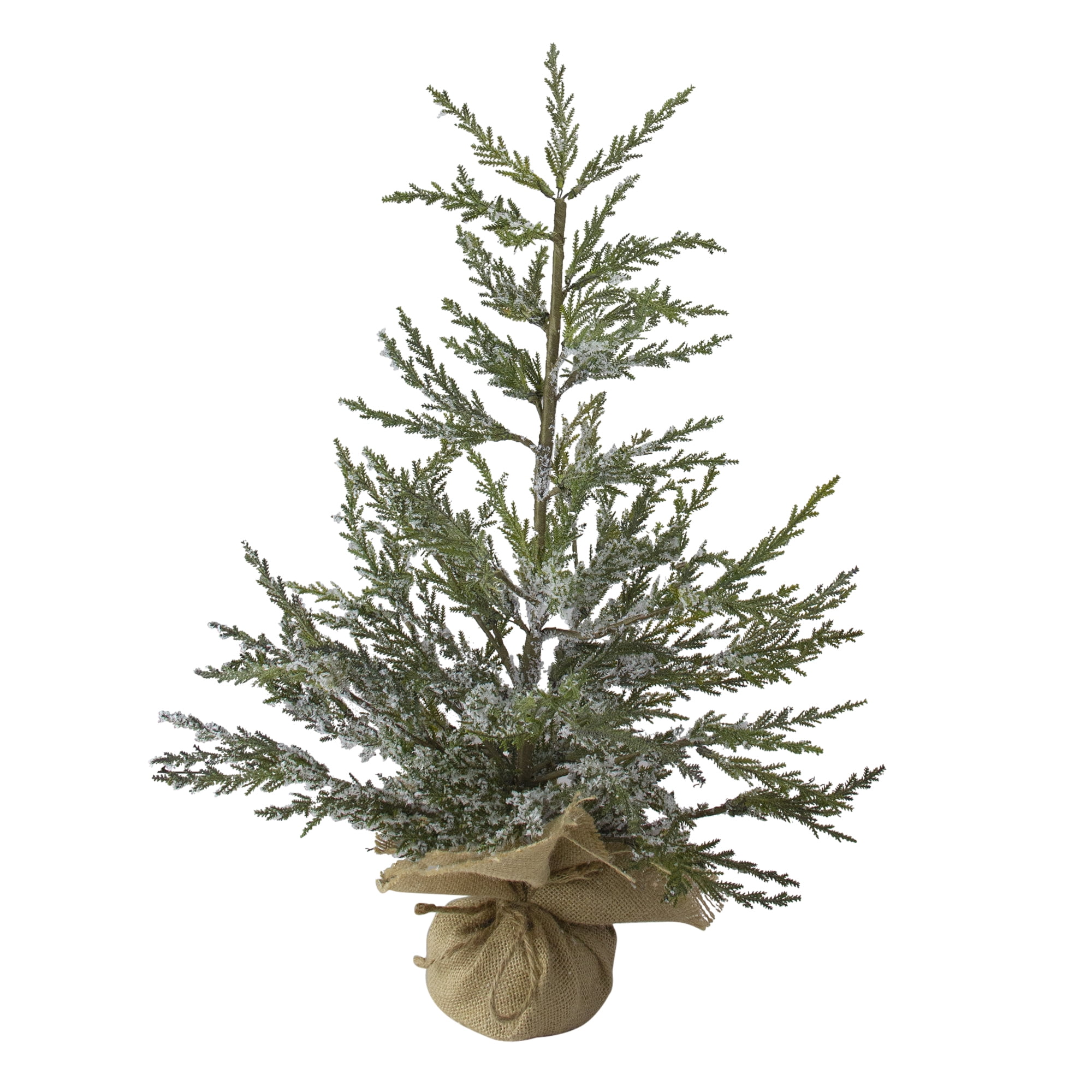 Northlight 2' Unlit Artificial Christmas Tree MediumPotted Iced Cedar
