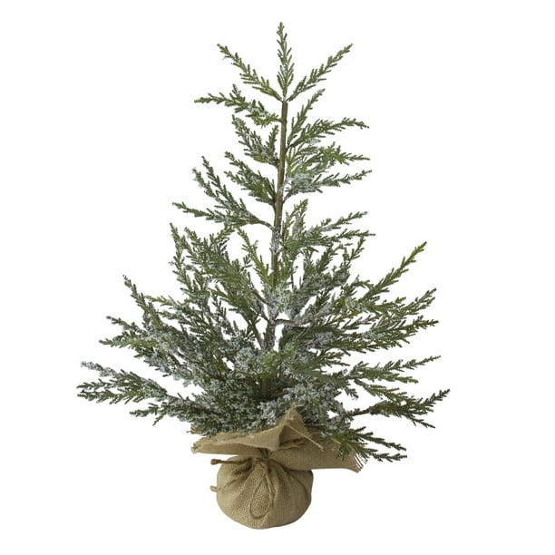 Northlight 2' Unlit Artificial Christmas Tree MediumPotted Iced Cedar