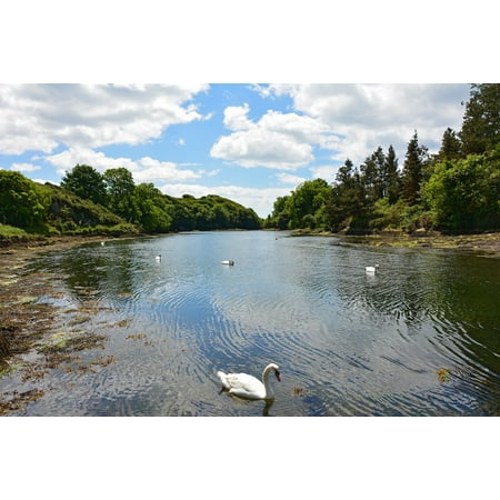 10 Inlet - Canvas Print Inlet Coast Pier Birds Swans Booked River Stretched Canvas 10 x 14